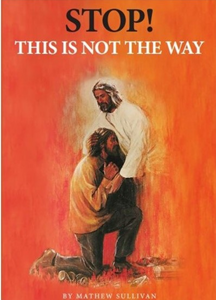 Stop! This is not the Way! by Mathew Sullivan